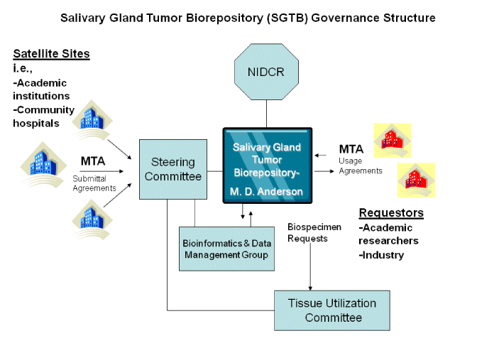 SGTB Governance Structure